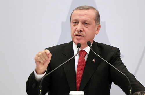 Erdoğan: OHAL için 12 ay yetmeyebilir